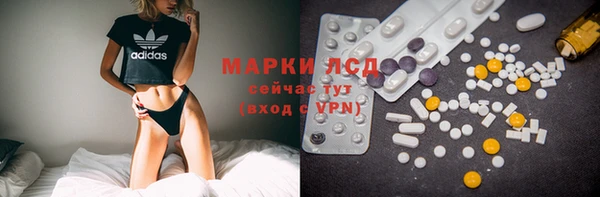 прущие грибы Бронницы